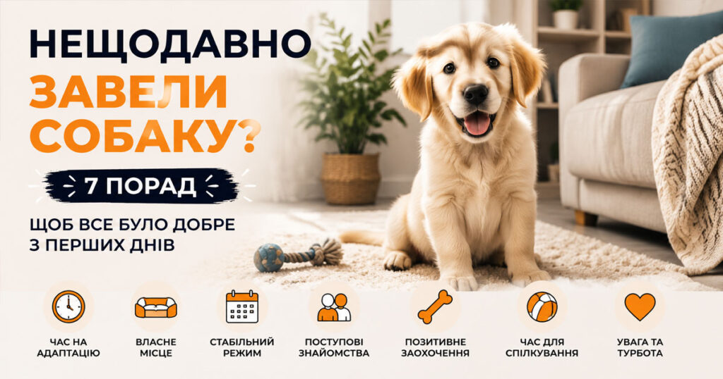 Нещодавно завели собаку? Сім порад від “Білого Вовка”