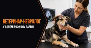 Ветеринар-невролог у Солом’янському районі — клініка «Білий Вовк»
