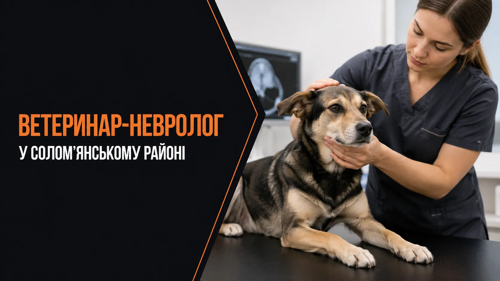 Ветеринар-невролог у Солом’янському районі — ілюстрація огляду собаки